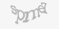 Sigurnosni kod